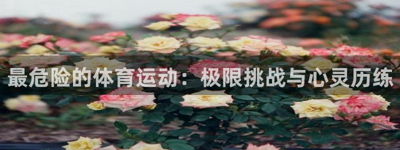 谈球吧：最危险的体育运动：极限挑战与心灵历练