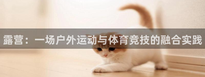 谈球吧体育：露营：一场户外运动与体育竞技的融合实践
