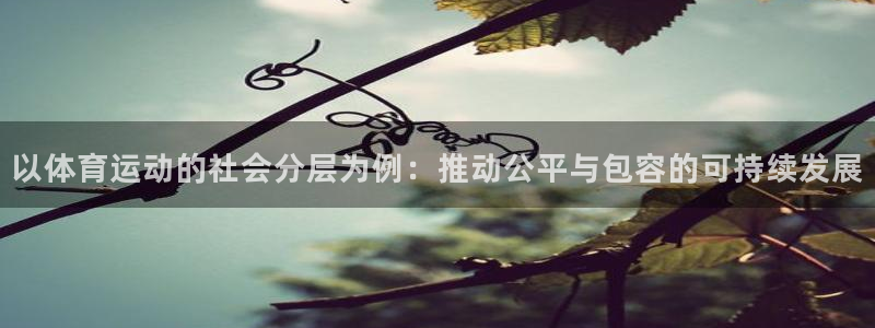 谈球吧体育官网：以体育运动的社会分层为例：推动公平与包容的可持续发展