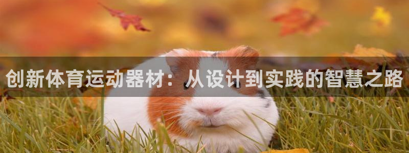 谈球吧体育：创新体育运动器材：从设计到实践的智慧之路