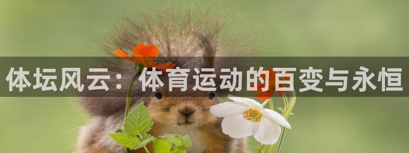 谈球吧：体坛风云：体育运动的百变与永恒
