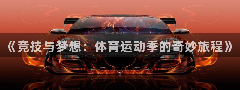 谈球吧：《竞技与梦想：体育运动季的奇妙旅程》