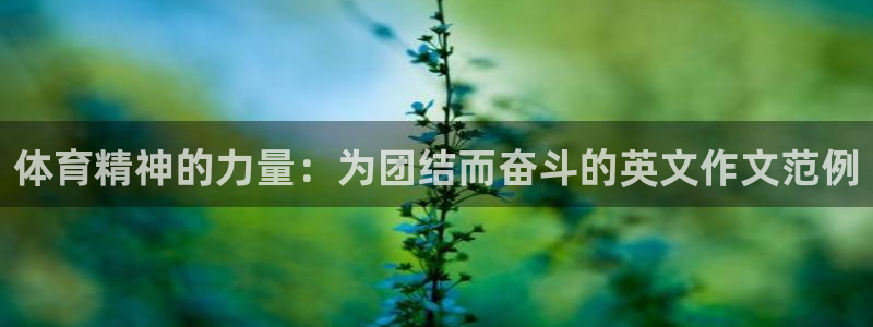 谈球吧：体育精神的力量：为团结而奋斗的英文作文范例