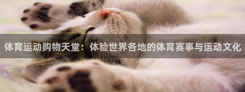 谈球吧体育：体育运动购物天堂：体验世界各地的体育赛事与运动文化